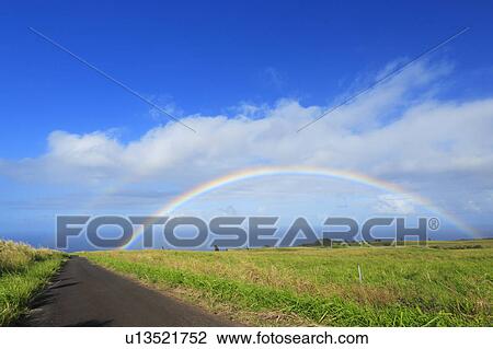 Rainbow Over Field, Hawaii, USA View Large Photo Image Stock Image - Rainbow Over Field, Hawaii, USA. Fotosearch