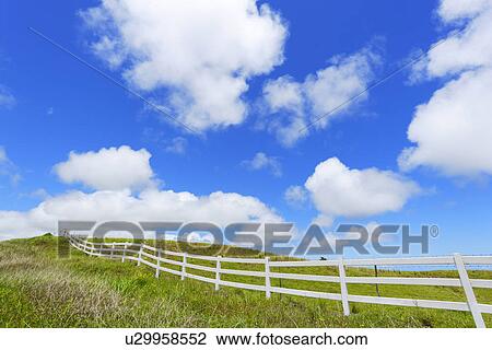 Stock Image - Ranch and Blue Sky, Hawaii, USA. Fotosearch