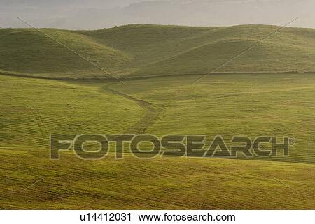 Stock Image - Ranch in the morning. Fotosearch