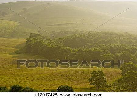Stock Photography - Ranch in the morning. Fotosearch
