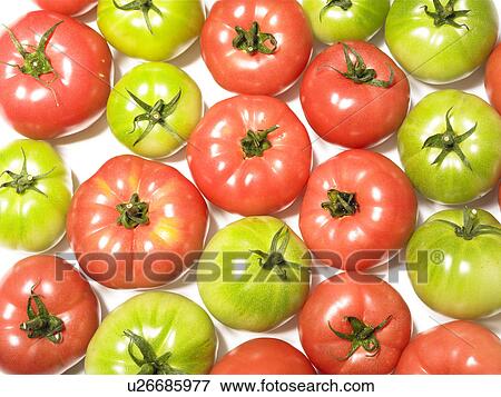 Stock Photo - Red and green tomatoes, white background, full frame. Fotosearch