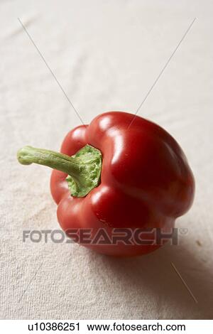 Red bell pepper, close up, white background View Large Photo Image Stock Image - Red bell pepper, close up, white background. Fotosearch