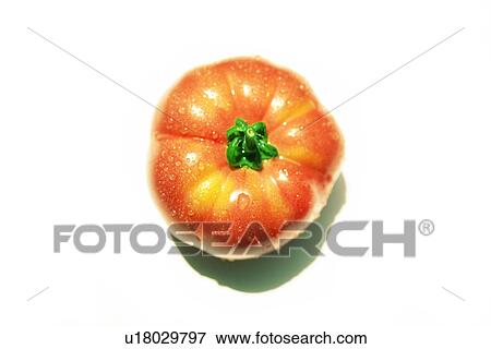 Red tomato, white background View Large Photo Image Stock Photo - Red tomato, white background. Fotosearch