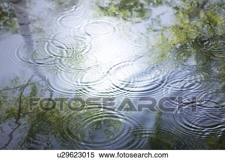 Stock Photography - Reflections of foliage in rippled water. Fotosearch