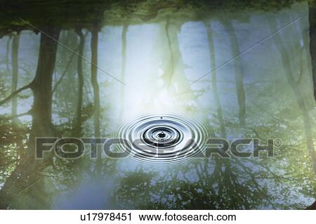 Ripple in water with reflections of trees View Large Photo Image Stock Image - Ripple in water with reflections of trees. Fotosearch