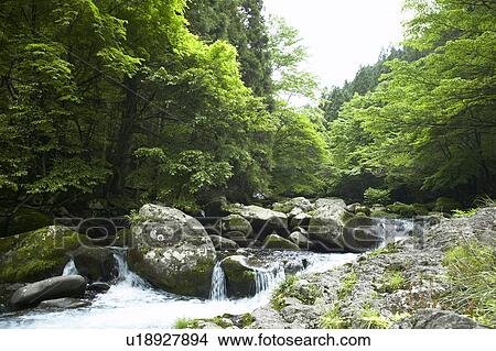 River Running in Mountain View Large Photo Image Picture - River Running in Mountain. Fotosearch