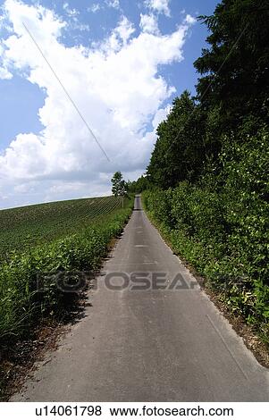 Road by forest View Large Photo Image Stock Photo - Road by forest. Fotosearch