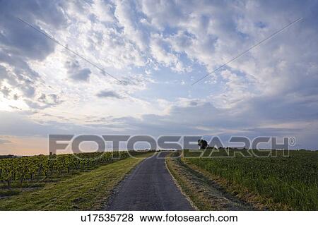 Stock Photo - Road Through Vineyard at Sunset, Tarn, France. Fotosearch