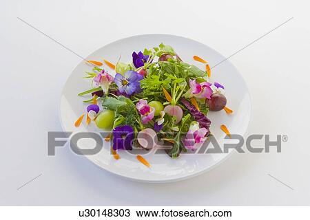 Salad with flowers, white background View Large Photo Image Stock Image - Salad with flowers, white background. Fotosearch