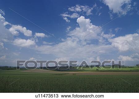 Stock Image - Scenery of field. Fotosearch