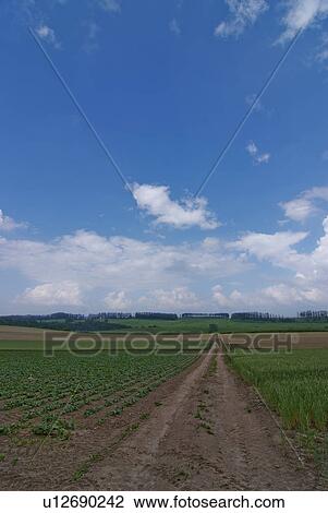 Stock Image - Scenery of field. Fotosearch
