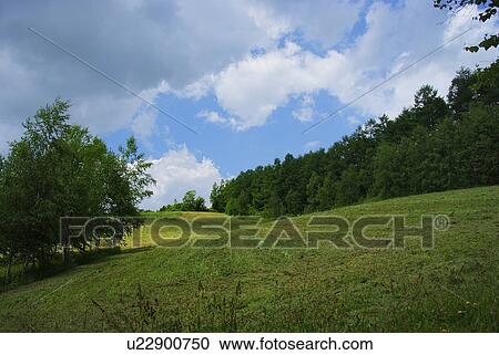 Stock Image - Scenery of field. Fotosearch