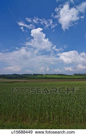 Stock Photo - Scenery of field. Fotosearch