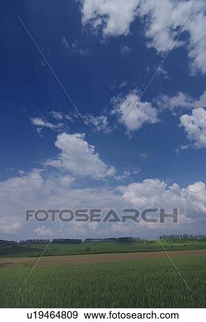 Stock Photo - Scenery of field. Fotosearch
