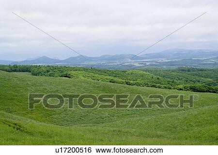Scenery of ranch View Large Photo Image Stock Photograph - Scenery of ranch. Fotosearch