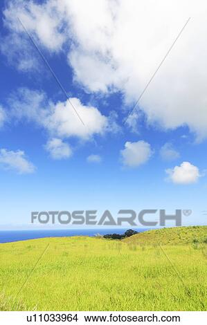 Picture - Sea and sky. Fotosearch