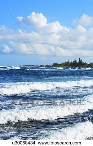 Picture - Seascape, Hawaii, USA. Fotosearch