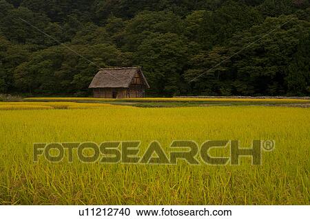Shirakawago village View Large Photo Image Stock Image - Shirakawago village. Fotosearch