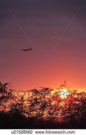Stock Image - Sky and airplane at dusk. Fotosearch