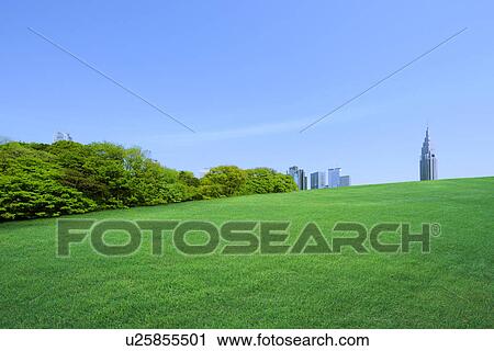 Stock Image - Skyscrapers seen from park. Fotosearch