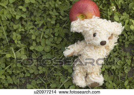 Picture - Soft toy dog lying on apple on grass. Fotosearch