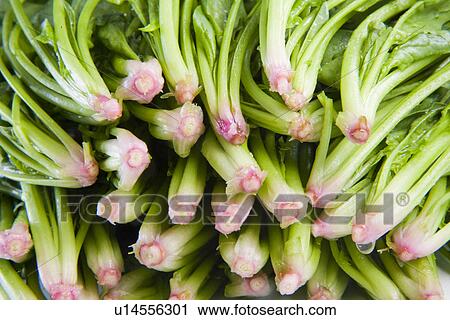 Spinach, close up, full frame View Large Photo Image Stock Image - Spinach, close up, full frame. Fotosearch