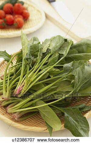 Spinach on colander, close up View Large Photo Image Stock Photo - Spinach on colander, close up. Fotosearch