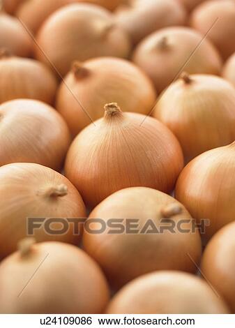 Stack of onions, full frame View Large Photo Image Stock Photograph - Stack of onions, full frame. Fotosearch
