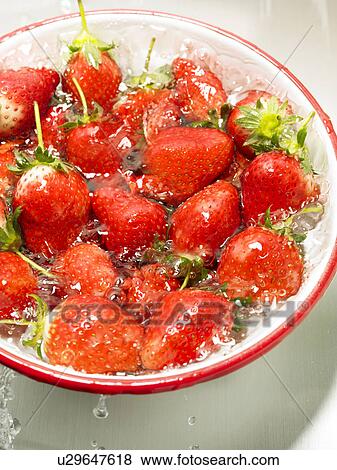 Strawberries being washed in bowl, close up, white background View Large Photo Image Stock Photo - Strawberries being washed in bowl, close up, white background. Fotosearch