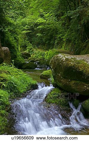 Stock Photo - Stream at Kamagatani. Fotosearch