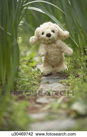 Stuffed toy dog walking on footpath View Large Photo Image Stock Image - Stuffed toy dog walking on footpath. Fotosearch