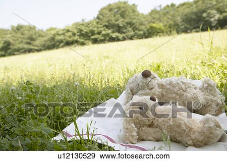 Stuffed Toys Lying on Cloth in Green Field View Large Photo Image Stock Photo - Stuffed Toys Lying on Cloth in Green Field. Fotosearch