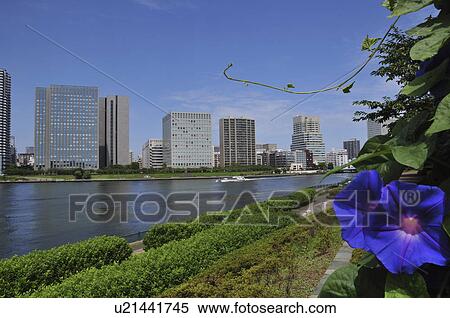 Stock Photography - Sumida river and Tokyo skyline. Fotosearch
