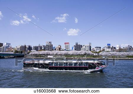 Stock Photo - Sumida river in Spring. Fotosearch