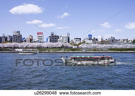 Stock Photo - Sumida river in Spring. Fotosearch