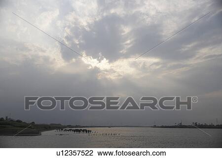 Sunlight Coming Through Clouds Over River View Large Photo Image Stock Image - Sunlight Coming Through Clouds Over River. Fotosearch