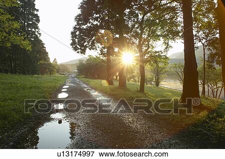 Stock Photo - Sunshine After the Rain. Fotosearch