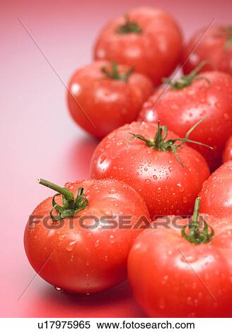 Tomatoes, close up, red background View Large Photo Image Stock Photography - Tomatoes, close up, red background. Fotosearch