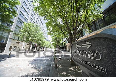 Stock Photo - Treelined street in office district. Fotosearch
