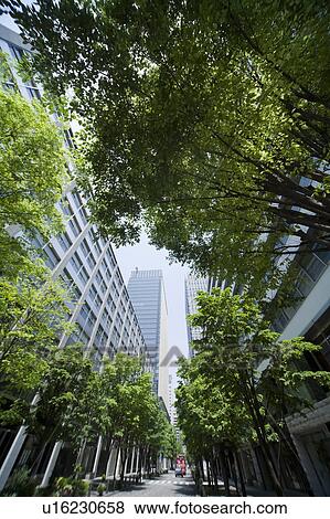 Stock Photo - Treelined street in office district. Fotosearch