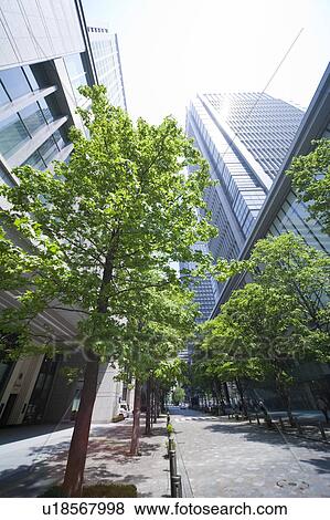 Stock Photo - Treelined street in office district. Fotosearch