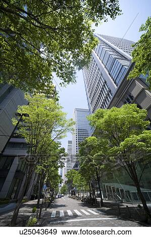 Treelined street in office district View Large Photo Image Stock Photo - Treelined street in office district. Fotosearch