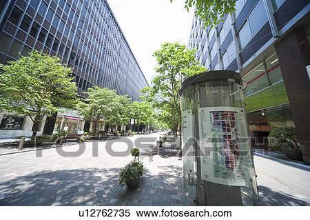 Stock Photography - Treelined street in office district. Fotosearch