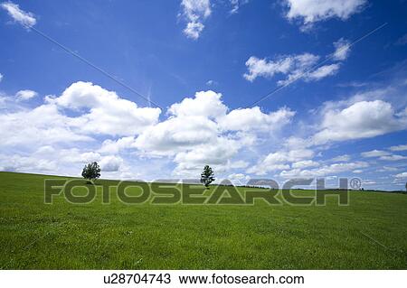 Stock Image - Trees and field. Fotosearch