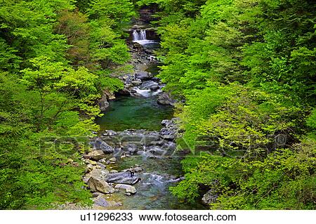 Stock Image - Tsukechi river. Fotosearch