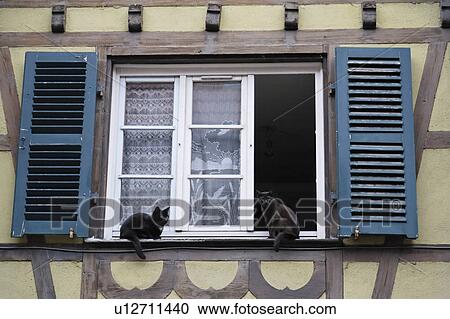 Two Black Cats at Window View Large Photo Image Stock Image - Two Black Cats at Window. Fotosearch