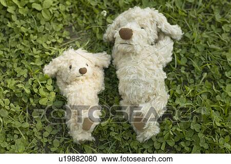 Stock Image - Two soft toy dogs lying on grass. Fotosearch