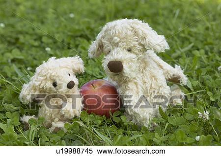 Two soft toy dogs View Large Photo Image Stock Photography - Two soft toy dogs. Fotosearch