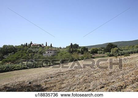 View of Italian Countryside, San Gimignano, Florence, Italy View Large Photo Image Stock Photograph - View of Italian Countryside, San Gimignano, Florence, Italy . Fotosearch