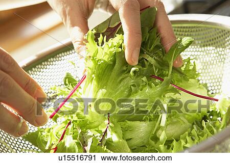 Stock Image - Woman making salad, close up. Fotosearch